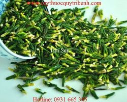 Mua tim sen giá rẻ uy tín chất lượng nhất ở đâu?