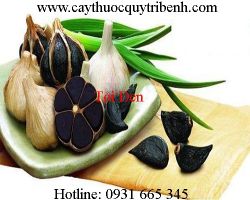 Mua tỏi đen ở đâu tại tp hcm ???