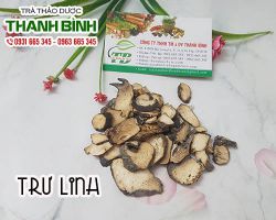 Mua trư linh giá rẻ uy tín chất lượng nhất ở đâu?