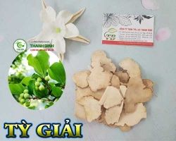 Mua tỳ giải giá rẻ uy tín chất lượng nhất ở đâu tại TPHCM ?