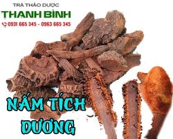 NẤM TÍCH DƯƠNG [CÔNG DỤNG, CÁCH DÙNG] MUA Ở ĐÂU NGUYÊN CHẤT UY TÍN?