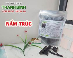 Nấm trúc [công dụng, cách dùng, mua ở đâu giá tốt nhất] địa chỉ bán giá rẻ?