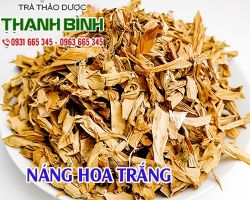 Náng Hoa Trắng [ TÁC DỤNG, CÁCH LÀM ] MUA Ở ĐÂU NGUYÊN CHẤT GIÁ RẺ ?