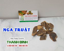 Nga truật [Tác dụng, Cách dùng] Mua ở đâu nguyên chất giá rẻ ?