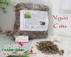 Ngải cứu [công dụng, cách dùng] mua ở đâu nguyên chất?