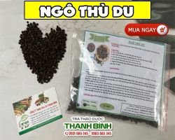 Ngô Thù Du [ TÁC DỤNG, CÁCH LÀM ] MUA Ở ĐÂU NGUYÊN CHẤT GIÁ RẺ ? 