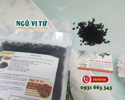 Ngũ vị tử - vị thuốc quý chữa trị liệt dương bồi bổ can thận
