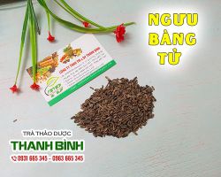 Ngưu bàng tử [ tác dụng, cách dùng, địa chỉ mua bán tốt nhất] mua ở đâu ?