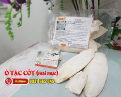 Ô tặc cốt có công dụng gì trong Đông y