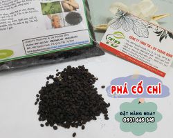 Phá cố chỉ và công dụng điều trị thiếu máu