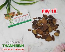 Phụ tử [công dụng, cách dùng] mua ở đâu nguyên chất?