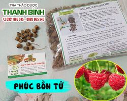 Phúc bồn tử [tác dụng cách dùng] mua ở đâu chất lượng và giá rẻ?
