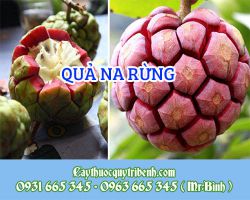 Qủa na rừng (tứn khửn)