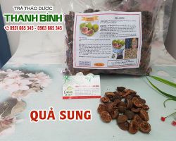Quả sung [công dụng, cách dùng] mua ở đâu nguyên chất?