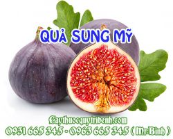 Qủa sung Mỹ