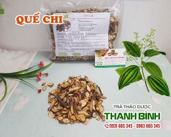 Quế chi [công dụng, cách dùng] mua ở đâu nguyên chất?