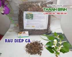 Rau diếp cá [công dụng, cách dùng] mua ở đâu nguyên chất?