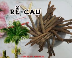 Rễ cau chữa liệt dương hiệu quả