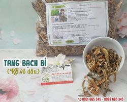 Rễ dâu có tác dụng gì, rễ dâu trị bệnh gì
