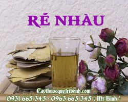 Rễ nhàu