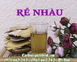 Rễ nhàu