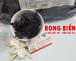 Rong biển mua ở đâu, mua rong biển tại thảo dược Thanh Bình