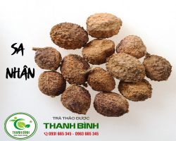 Sa nhân