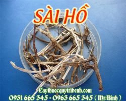 Sài hồ