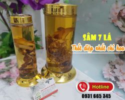 Sâm 7 lá điều trị tiểu đường, cách ngâm củ thất diệp nhất chi hoa