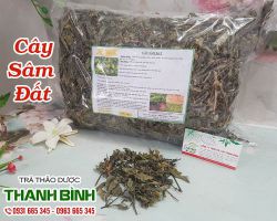 Sâm Đất [ TÁC DỤNG, CÁCH LÀM ] MUA Ở ĐÂU NGUYÊN CHẤT GIÁ RẺ ?