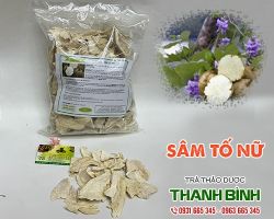 SÂM TỐ NỮ [ HÌNH ẢNH, CÔNG DỤNG ] MUA Ở ĐÂU NGUYÊN CHẤT GIÁ RẺ?
