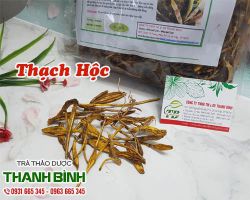 Tác dụng chữa bệnh của thạch hộc có thể bạn chưa biết