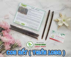 Tác dụng của con rết ( thiên long ) trong việc giúp tăng cường sức khỏe