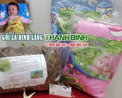 Tác dụng của gối lá đinh lăng