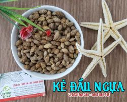Tác dụng của ké đầu ngựa là gì ??