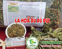 Tác dụng của lá hoa đu đủ đực đối với sức khỏe