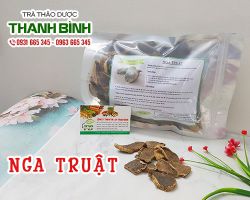 Tác dụng của nga truật trong điều trị chứng huyết ứ hiệu quả