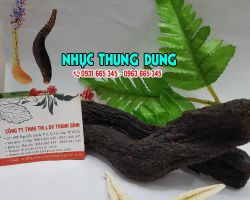 Tác dụng của nhục thung dung