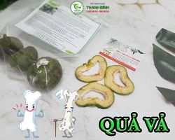 Tác dụng của quả vả trong việc hỗ trợ giúp tăng thị lực hiệu quả