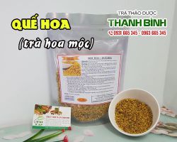 Tác dụng của quế hoa (trà hoa mộc) trong điều trị mộng tinh hiệu quả nhất