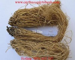Tác dụng của tế tân giúp điều trị đau răng đau đầu hiệu quả nhất