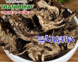 Thăng Ma [ TÁC DỤNG, CÁCH LÀM ] MUA Ở ĐÂU NGUYÊN CHẤT GIÁ RẺ ? 
