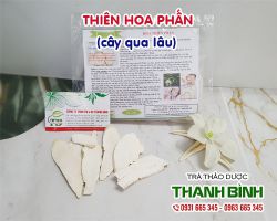 Thiên hoa phấn [công dụng, cách dùng] mua ở đâu nguyên chất