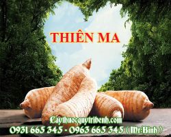 THIÊN MA