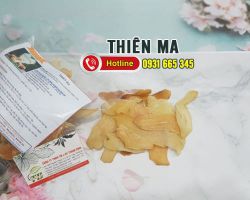 Thiên ma là gì, công dụng của thiên ma