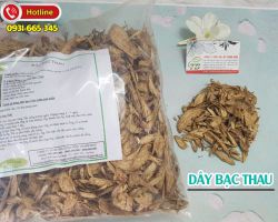 Thực hư công dụng chữa mụn nhọt của dây bạc thau