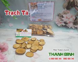 Trạch tả [công dụng, cách dùng] mua ở đâu nguyên chất?