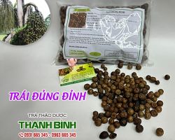 TRÁI ĐỦNG ĐỈNH [CÔNG DỤNG, CÁCH DÙNG] NGUYÊN CHẤT MUA Ở ĐÂU?