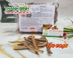 Tục đoạn [công dụng, cách dùng] mua ở đâu nguyên chất?