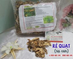 Xạ can có tác dụng gì, cách sử dụng cây xạ can hiệu quả